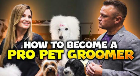 Love Pets? Join a Free Pet Grooming Course and Land a High-Paying Job!