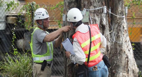 Tree Trimming Training Unlocks the Potential for $80,000 in Annual Earnings